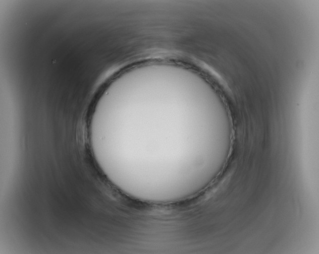 X0000115701267200911120936