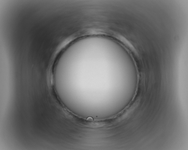 X0000115701269200911120936