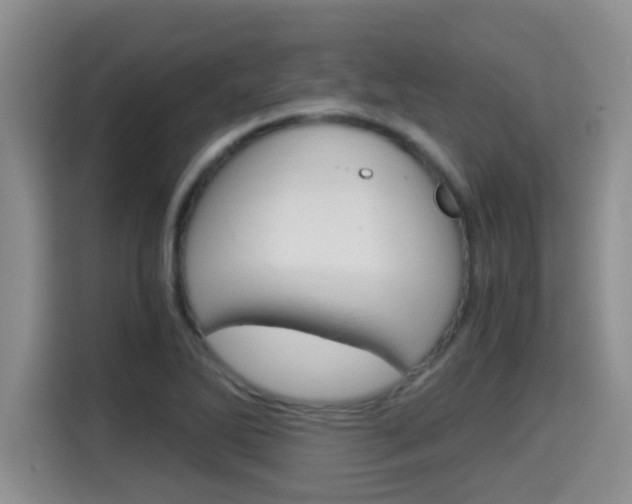 X0000115701270200911120936