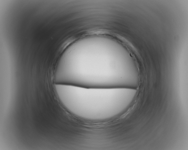 X0000115701273200911120936