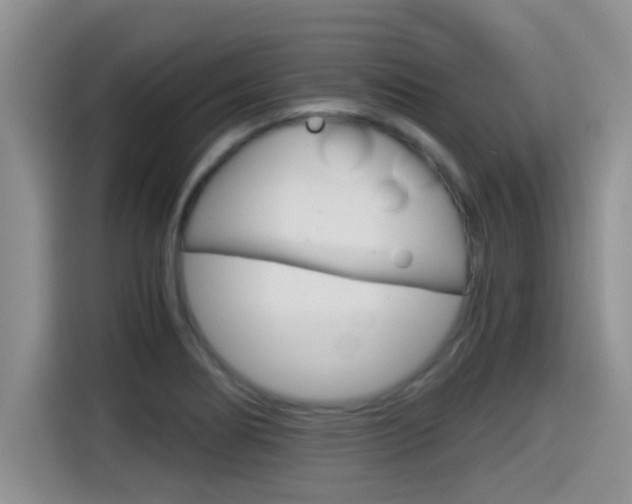 X0000115701274200911120936