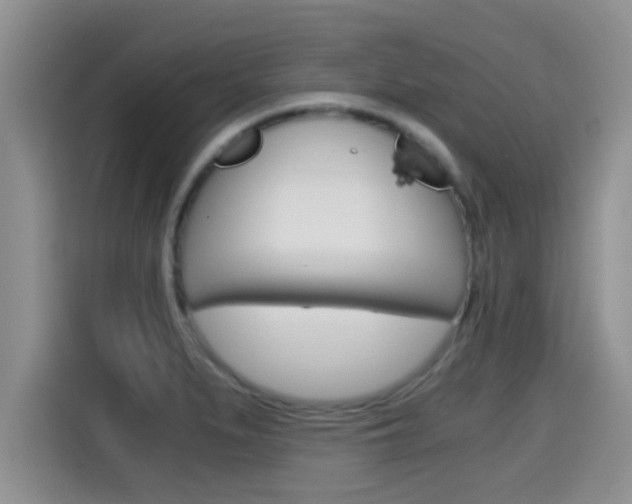 X0000115701279200911120936