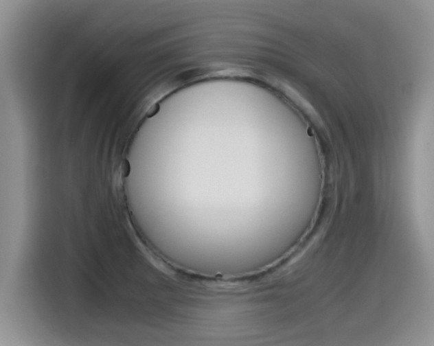 X0000115701281200911120936
