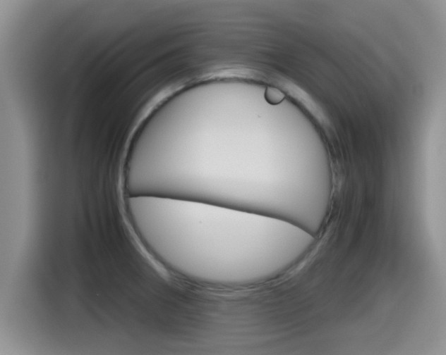 X0000115701282200911120936