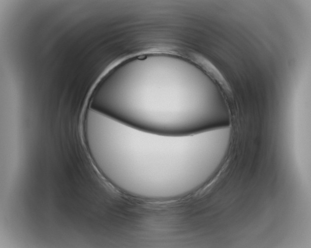 X0000115701284200911120936