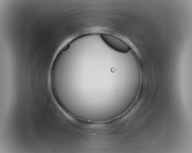 X0000115701285200911120936