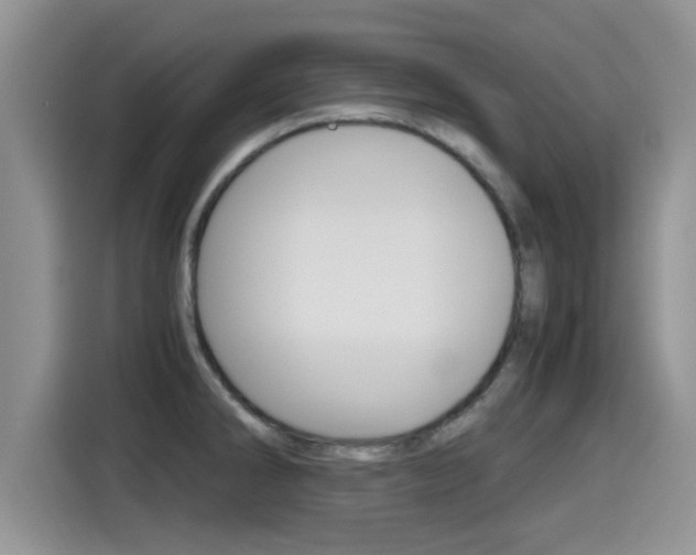 X0000115701286200911120936