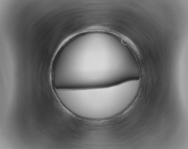 X0000115701288200911120936