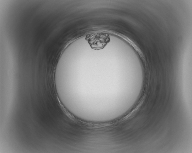 X0000115701289200911120936