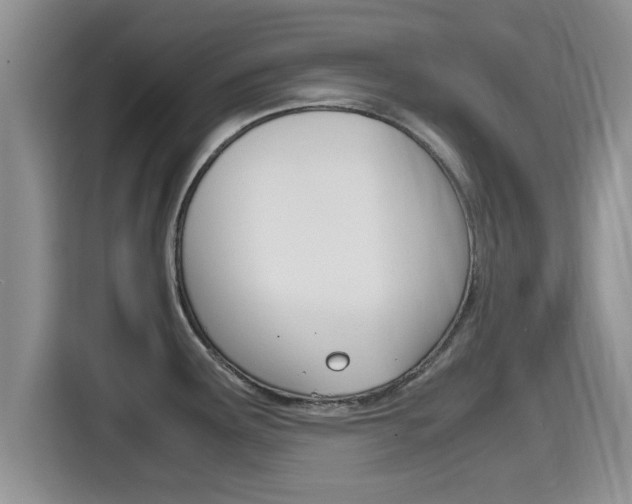 X0000115701291200911120936