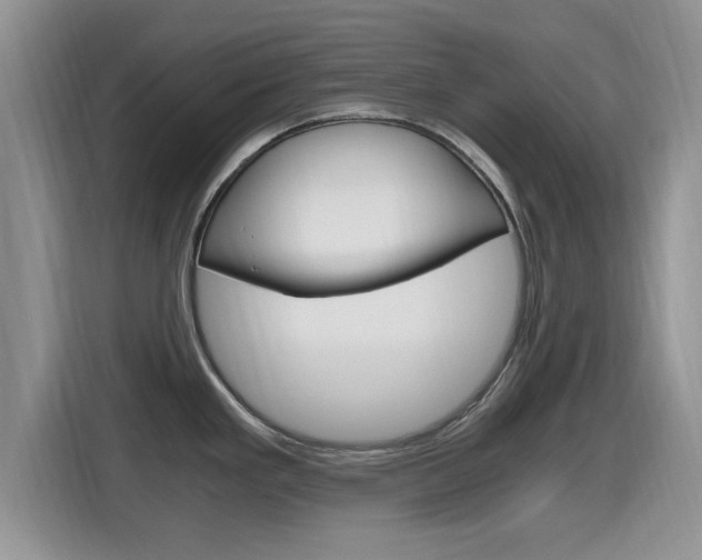 X0000115701293200911120935