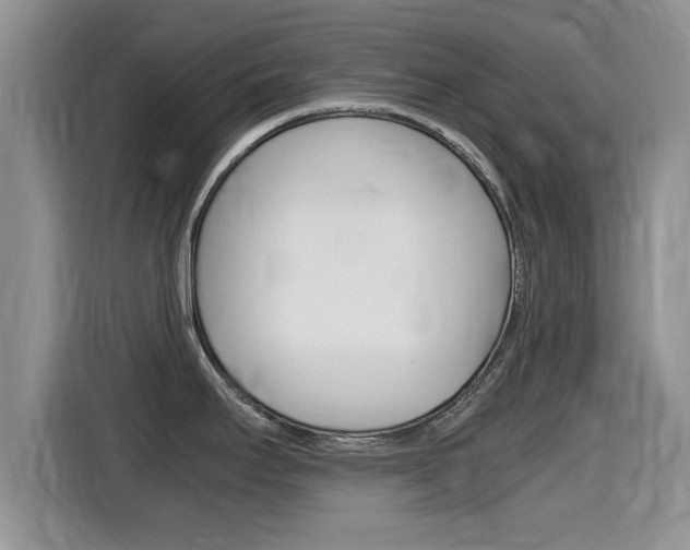 X0000115701295200911120935