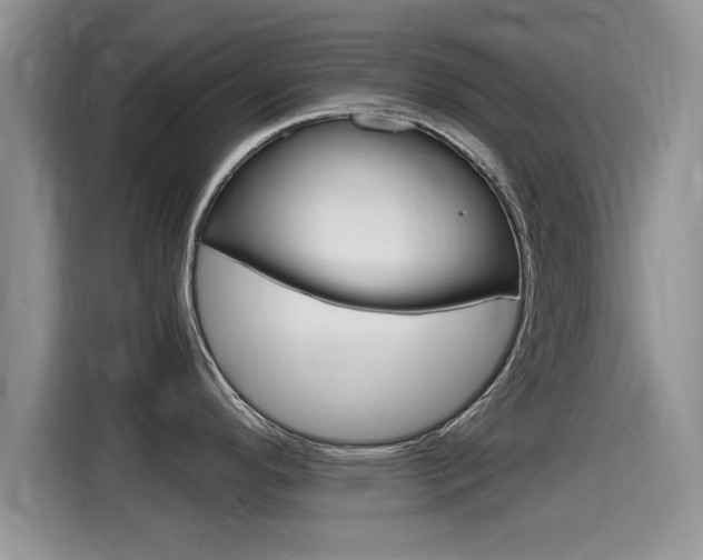 X0000115701296200911120935