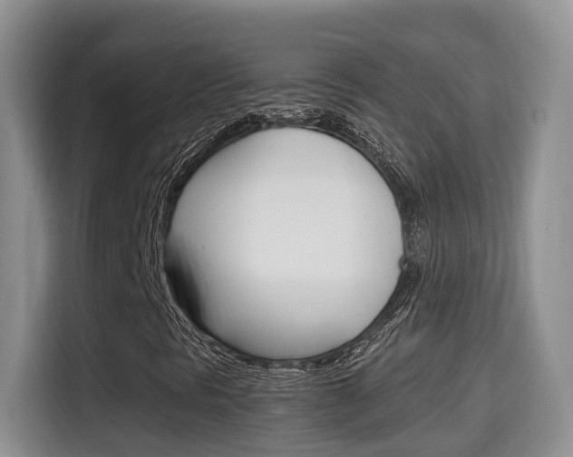 X0000115701297200911120935