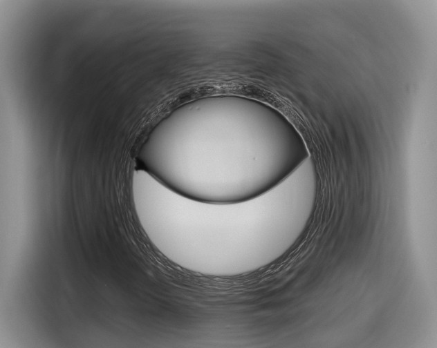 X0000115701298200911120935