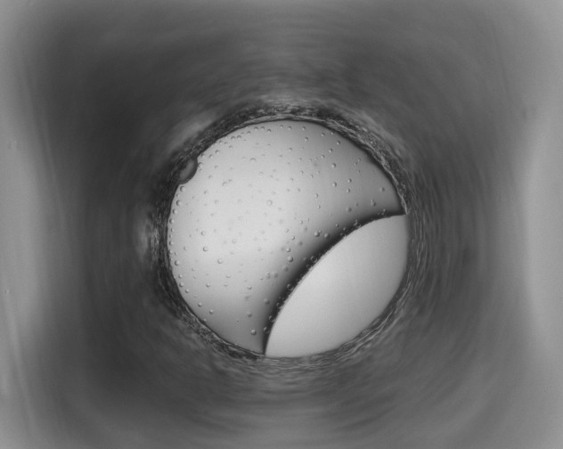 X0000115701302200911120935