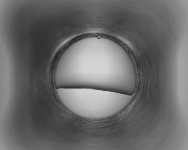 X0000115701311200911120935