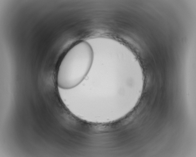X0000115701314200911120935
