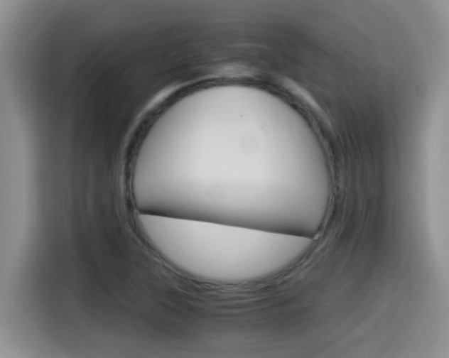 X0000115701315200911120935