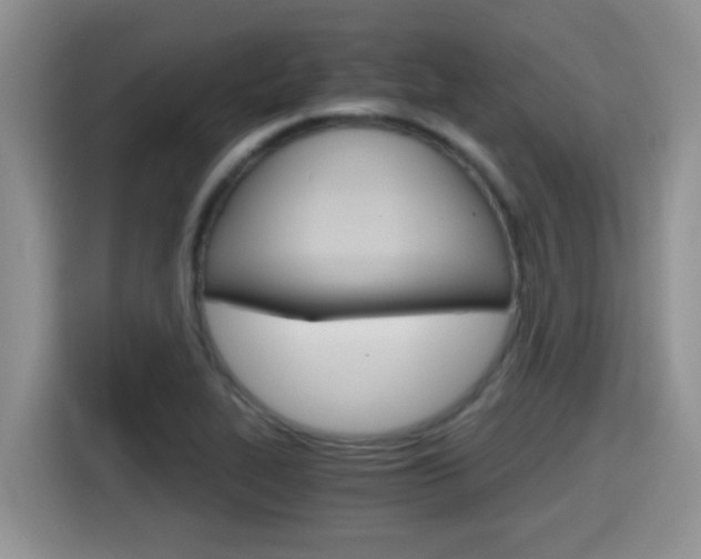 X0000115701319200911120935