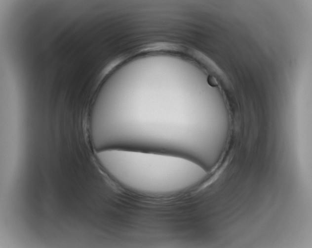 X0000115701321200911120935