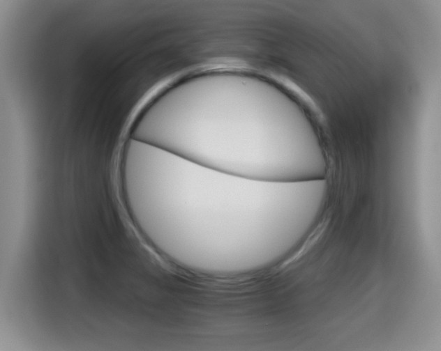 X0000115701325200911120935