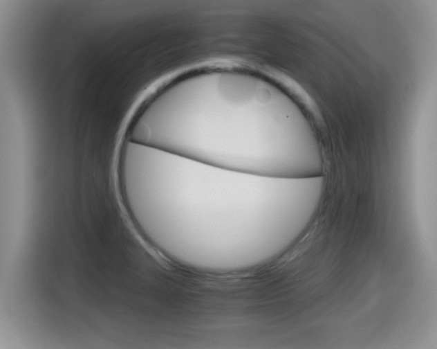 X0000115701327200911120935