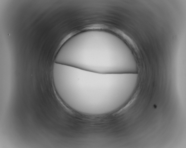 X0000115701329200911120935