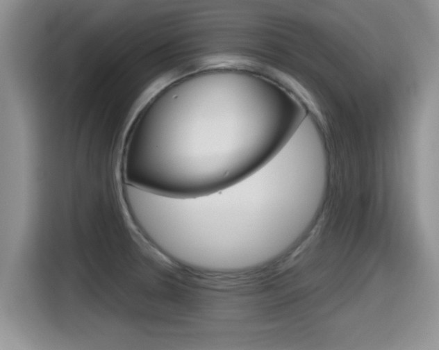X0000115701330200911120935