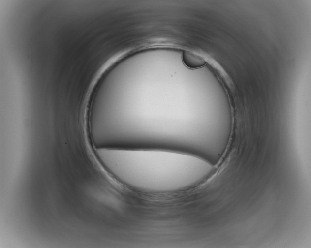 X0000115701333200911120935