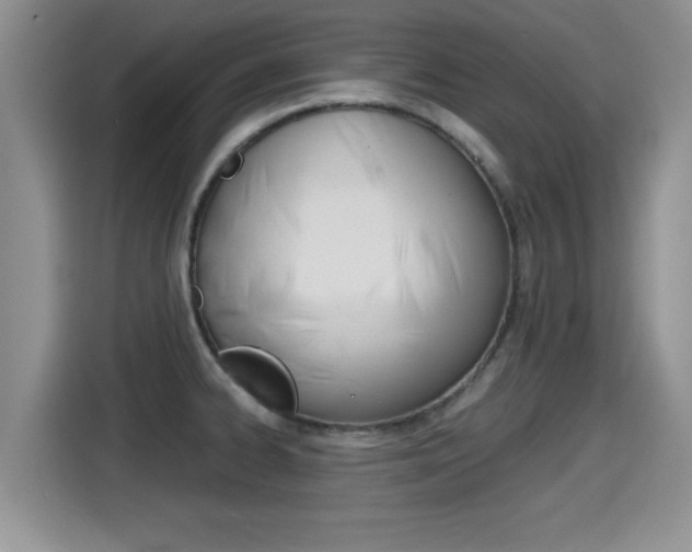 X0000115701334200911120935