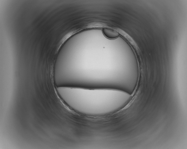 X0000115701337200911120935
