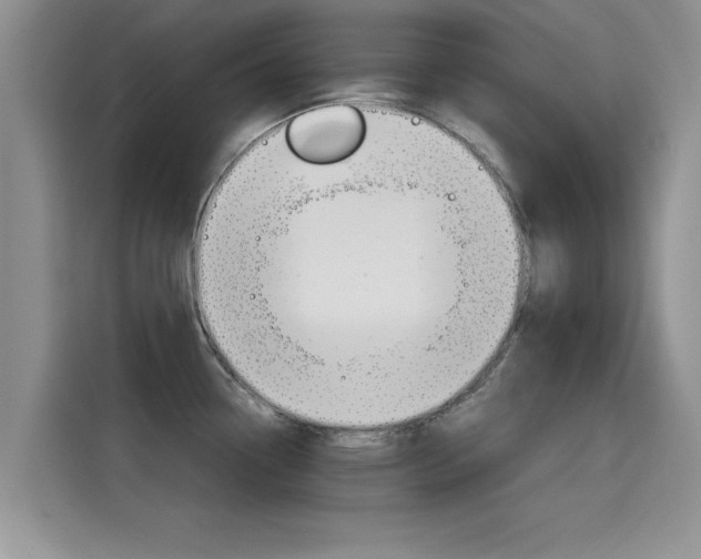 X0000115701338200911120935