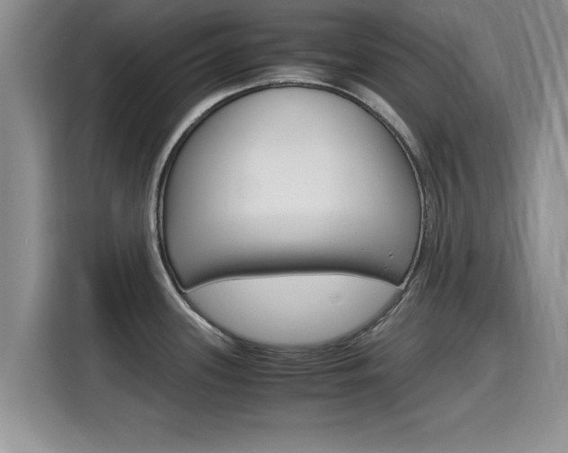 X0000115701339200911120935
