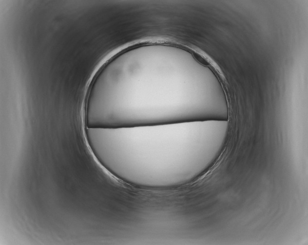 X0000115701343200911120935