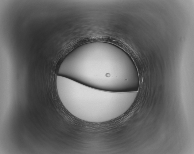 X0000115701348200911120935