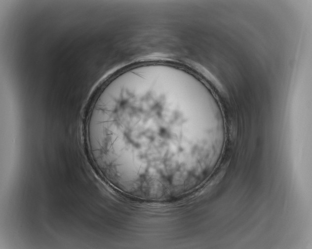X0000115701356200911120935