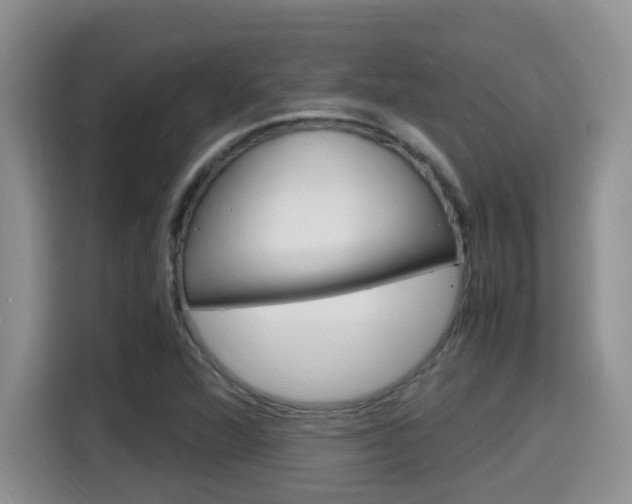 X0000115701360200911120935