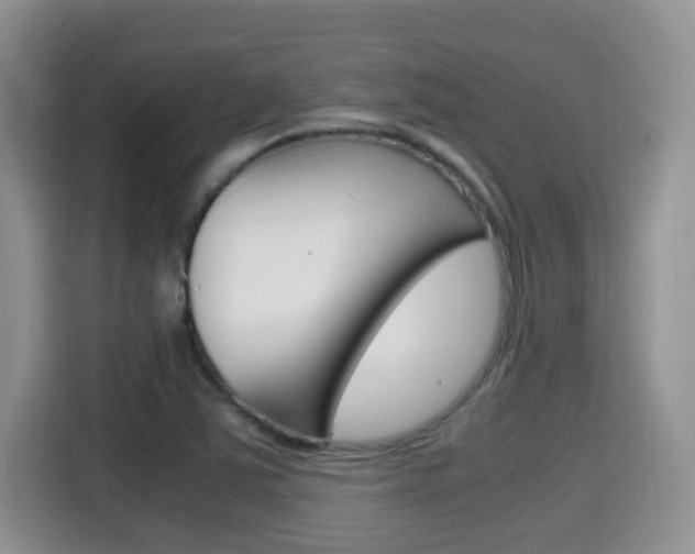 X0000115701363200911120935