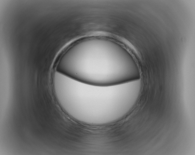 X0000115701364200911120935