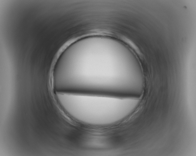 X0000115701371200911120934