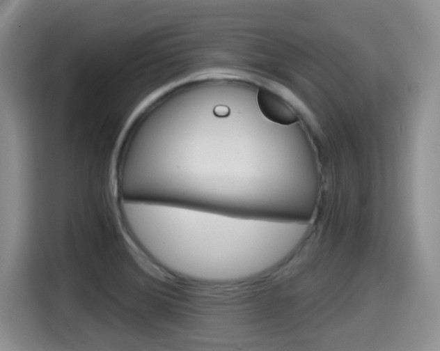 X0000115701372200911120934