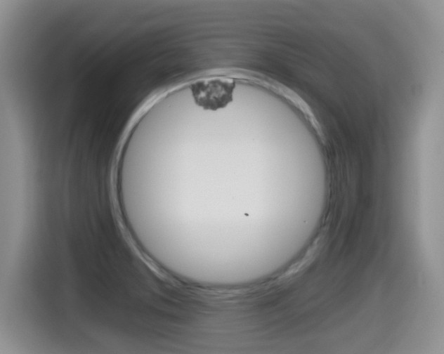 X0000115701373200911120934