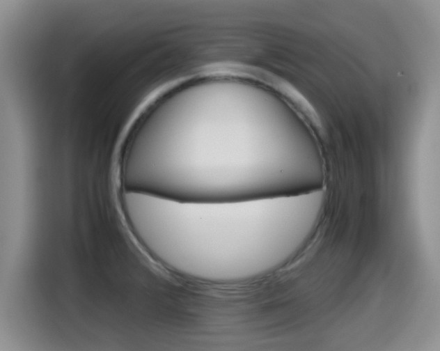 X0000115701376200911120934