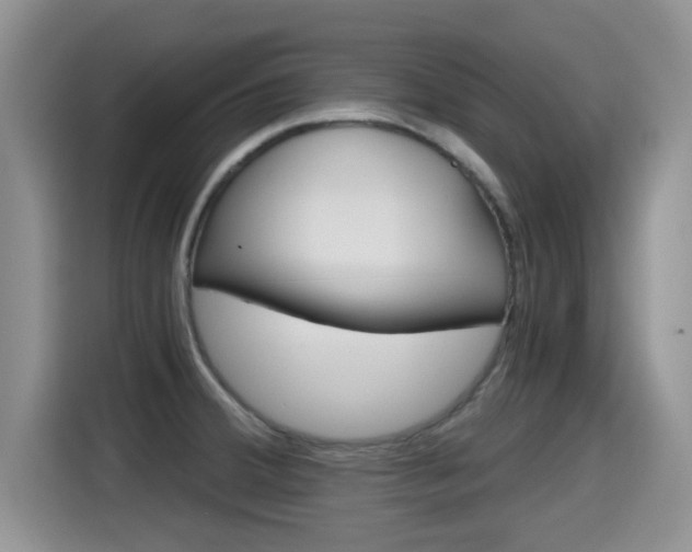 X0000115701380200911120934