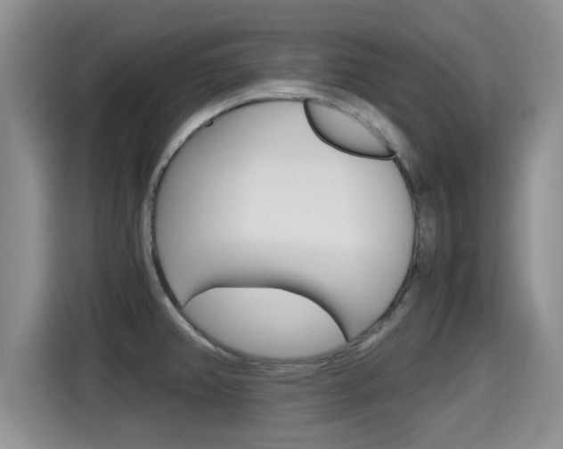 X0000115701382200911120934