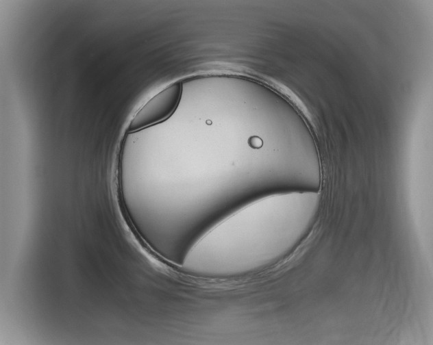 X0000115701387200911120934
