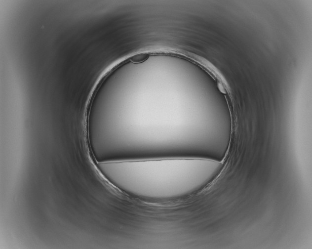X0000115701388200911120934