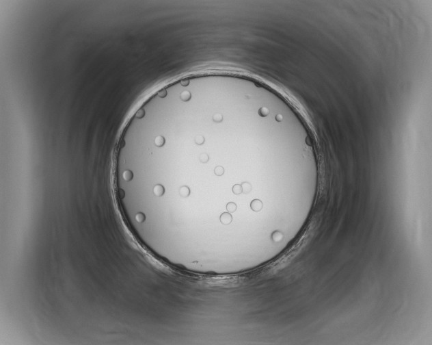 X0000115701390200911120934