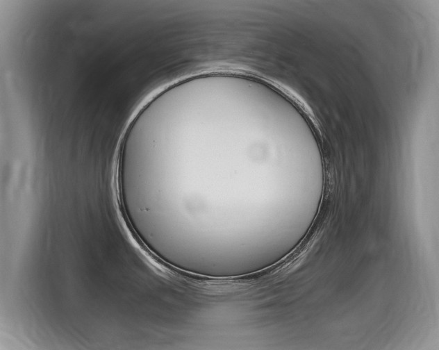 X0000115701391200911120934